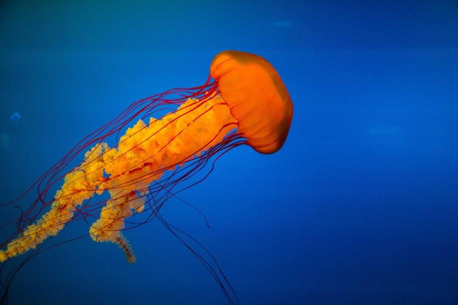 Top Same Day Trips From Delhi