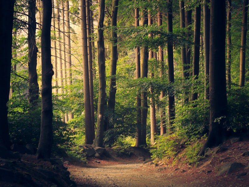 SUSTAINABLE TRAVEL